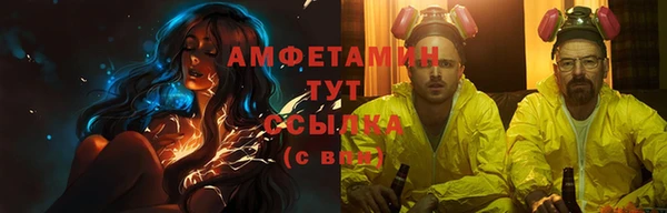 твердый Абаза
