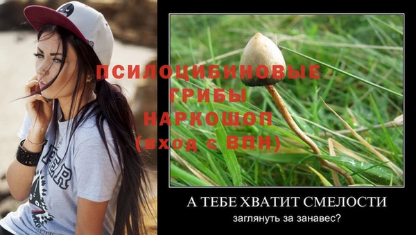 mdpv Абинск